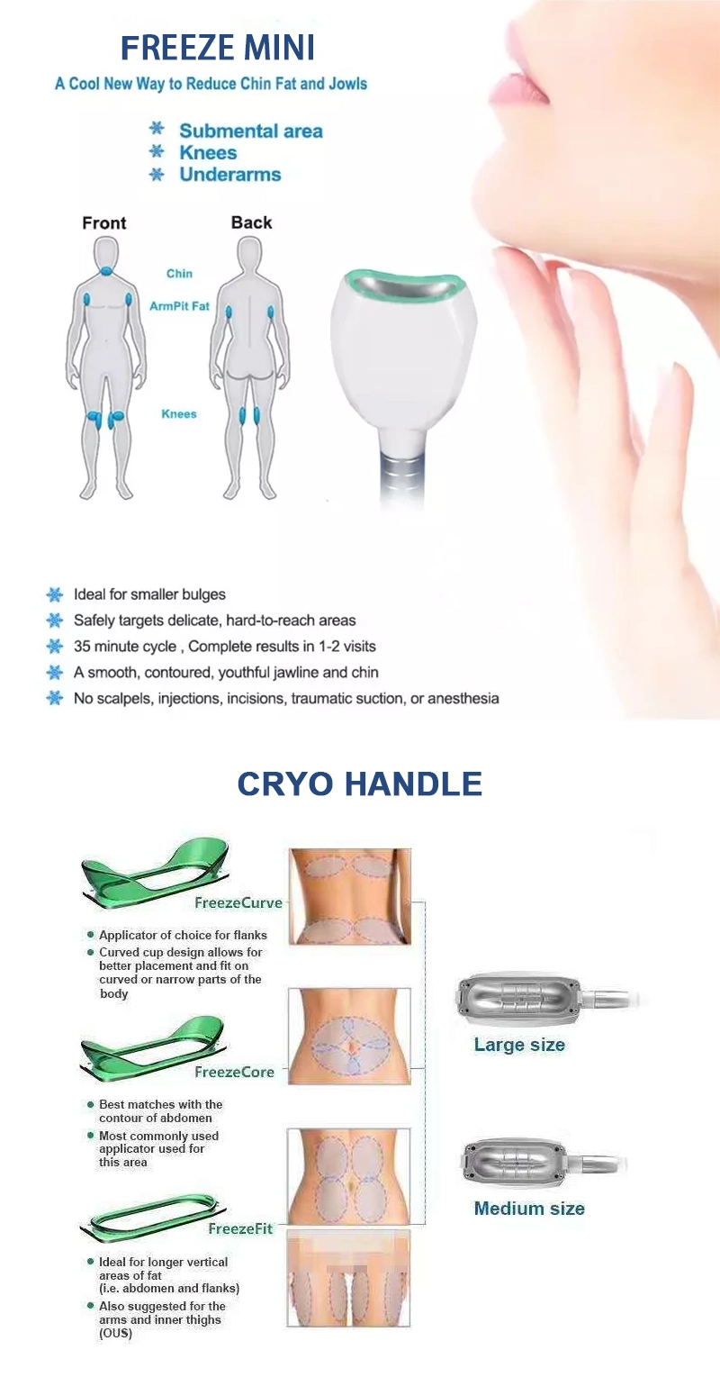 Vst-C1 Vesta Multifunctional 360 Cryolipolysis Cavitation Treatment with RF to Enhance Slimming of Beauty Equipment